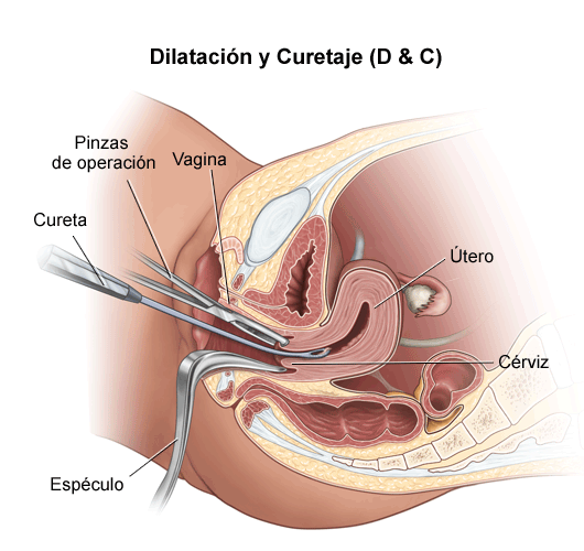 What sex position am i quiz pic 201