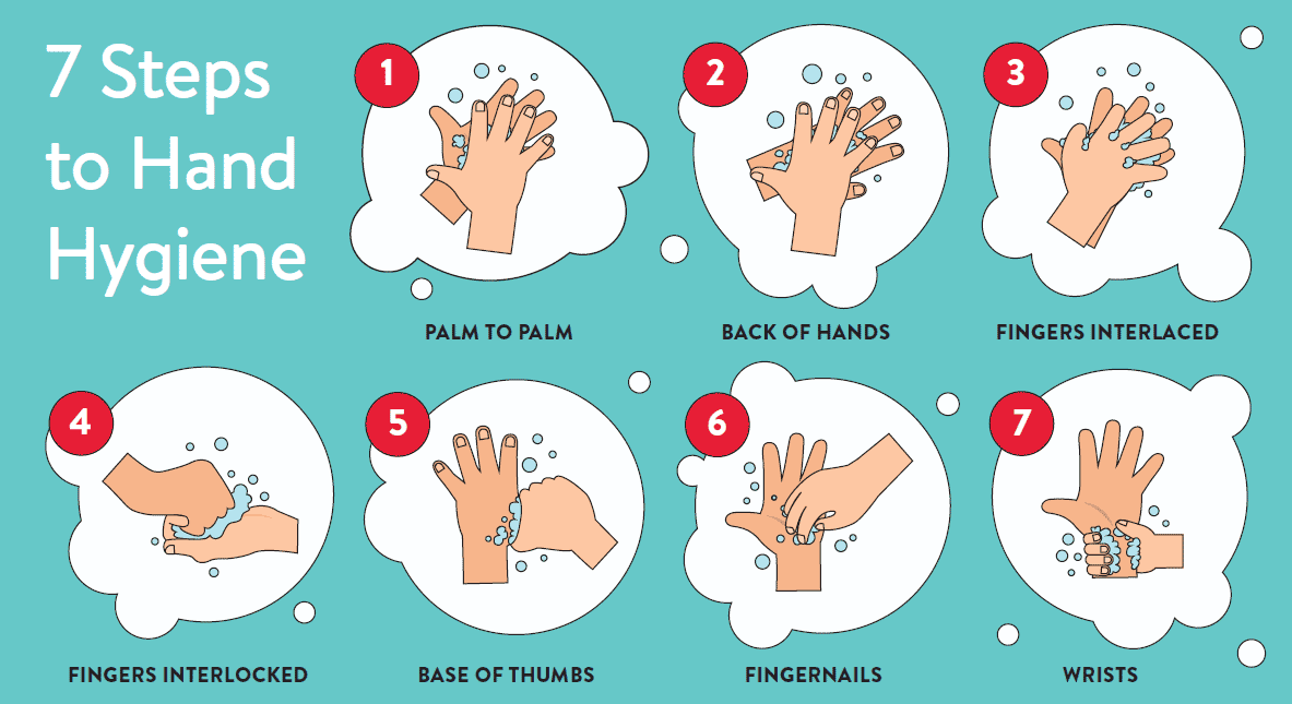 7 Steps Of Hand Washing