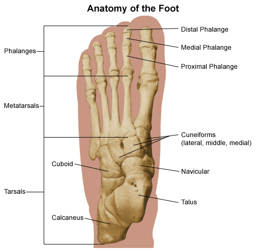 Athlete's Foot. But I'm Not Even an Athlete!…