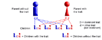 Genetic illustration demonstrating autosomal dominant inheritance