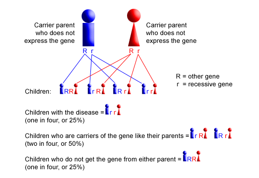 Sickle Cell Inheritance Chart