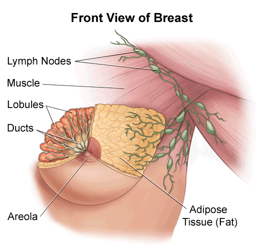 Nipple and Breast Problems