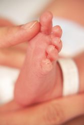 Feet of newborn baby