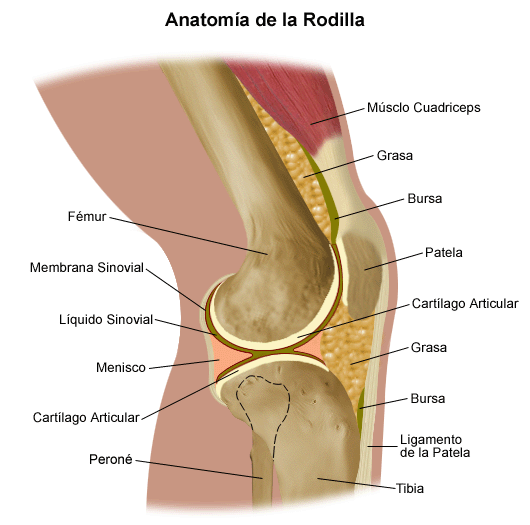 Knee Pain and Problems - Stanford Medicine Children's Health