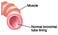 Vía respiratoria normal