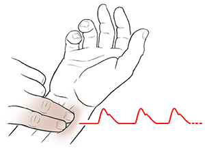 Checking your heart rate during your workouts can help you stay in your target range. Hand palm side up showing two fingers from opposite hand pressing two fingers below thumb. ECG trace shows heartbeat.