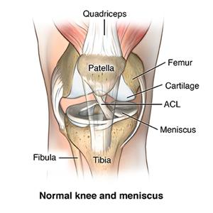 AMuscsk_20140310_v0_006 AMuscsk_20140310_v0_006