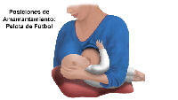 Haga clic en la imagen para ampliarla. Ilustración de la posición de balón americano para amamantar