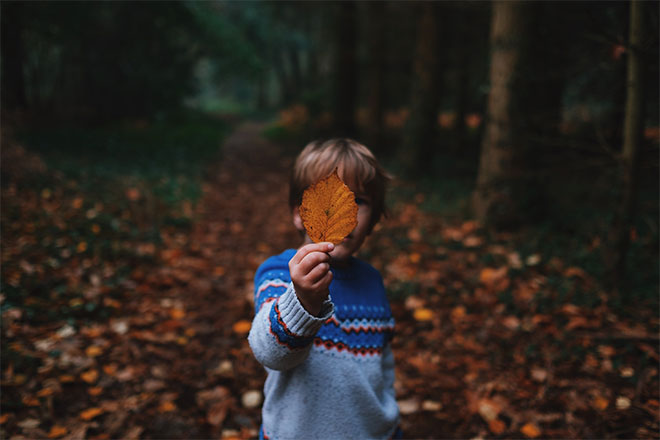 Boy holding leaf