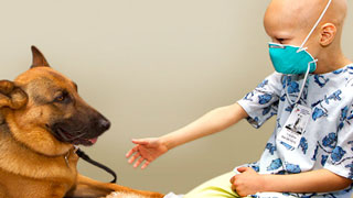 child petting dog