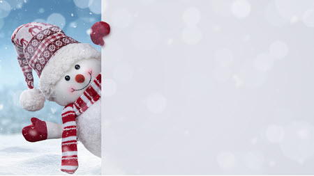 snowman zoom background