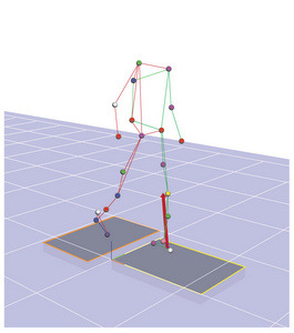 Motion Gait Analysis