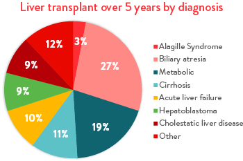 Liver transplant over 5 years by diagnosis