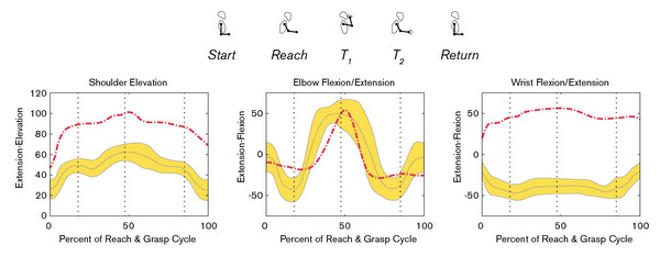 upper limb analysis test